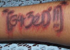 Gareed